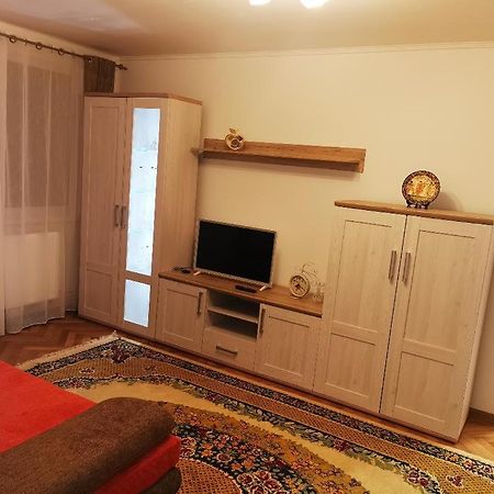 Bee Studio Apartment Iernut Luaran gambar